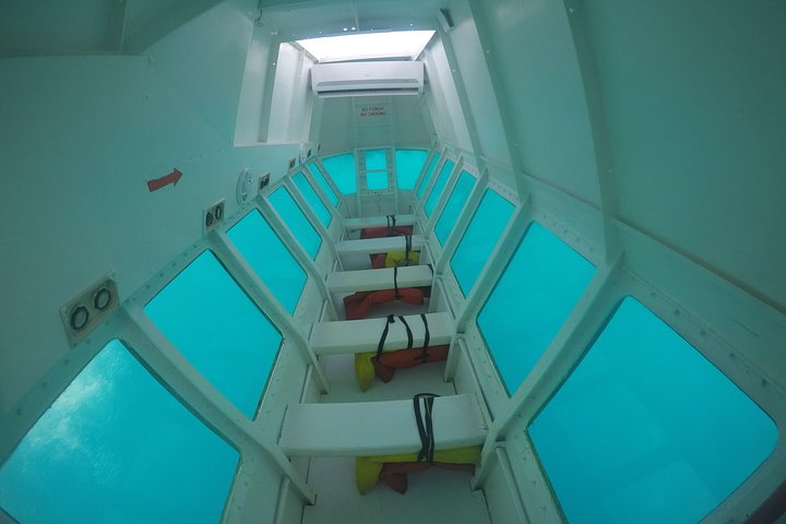 GLASS BOTTOM BOAT image 2