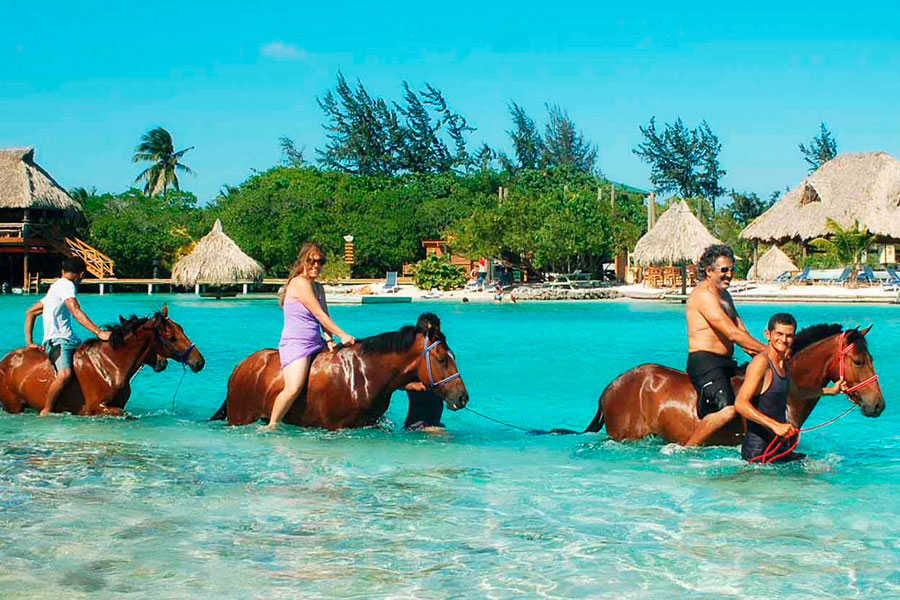 horses on the beach image 1