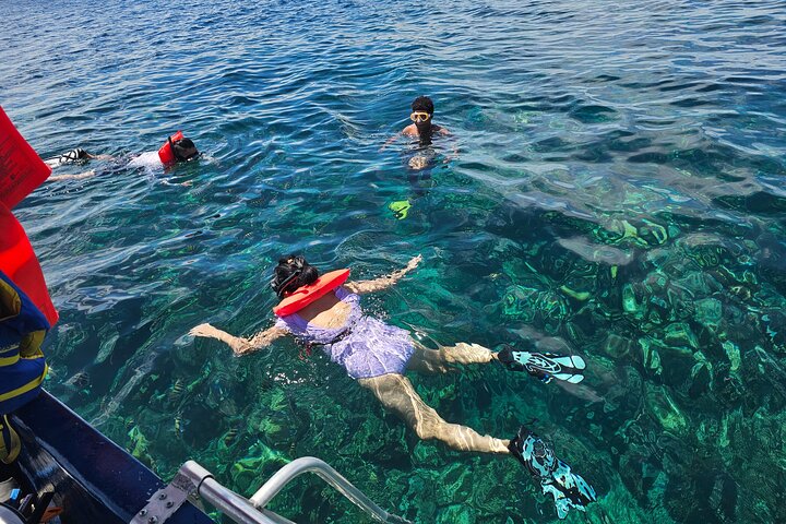 ROATAN REEF SNORKEL ADVENTURE - Shore Excursion Roatan