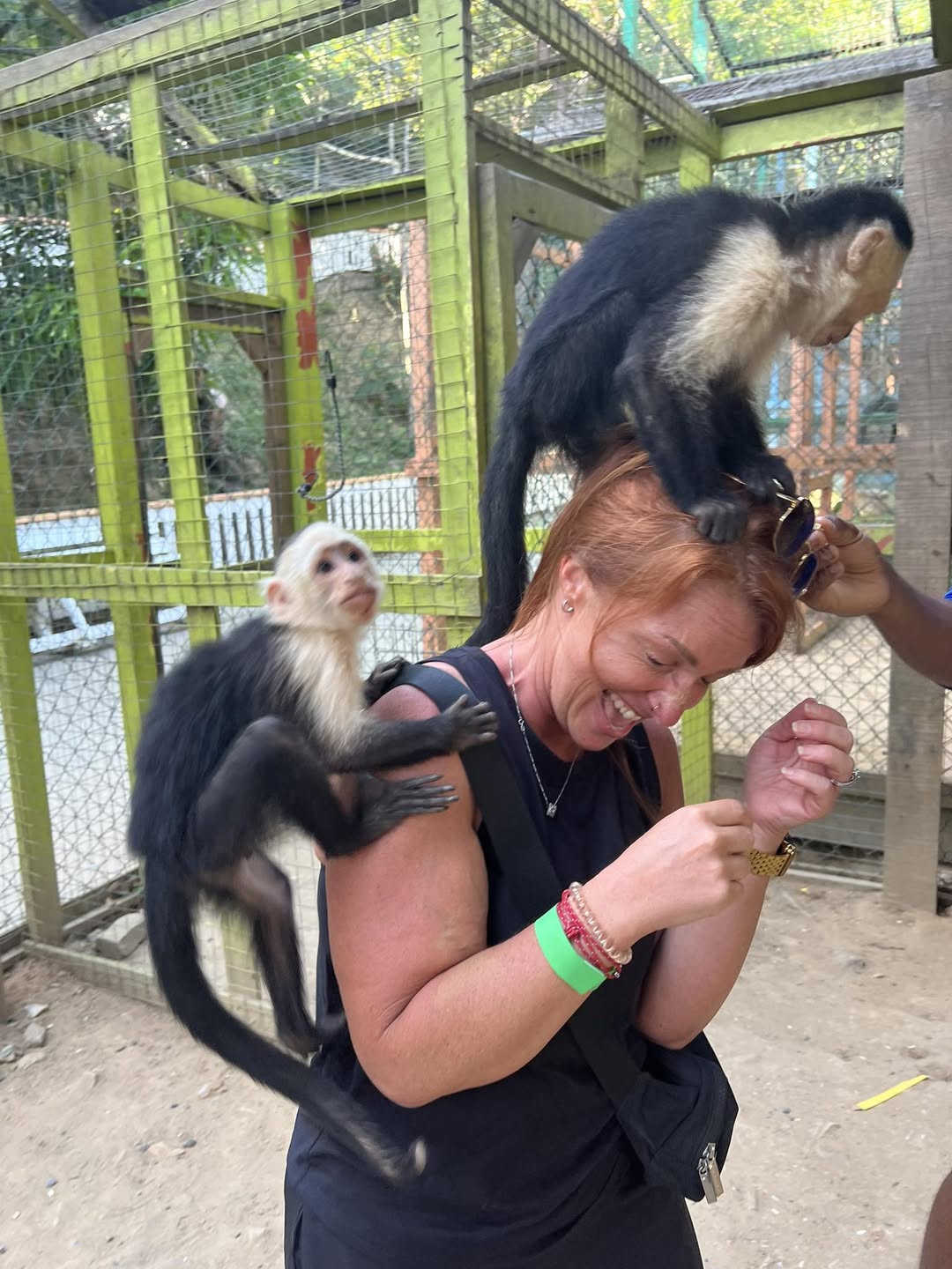 ZIP-LINE ADVENTURE & MONKEY SLOTHS image 1
